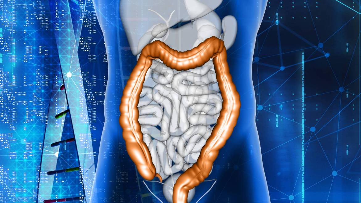 Colon Cleansing: Its Importance And Why you Need it