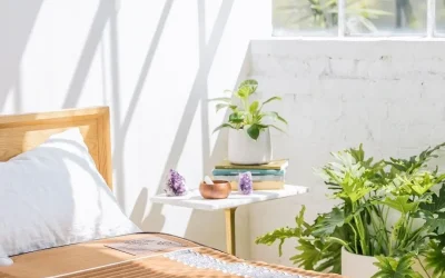 bioMat-professional-7000mx-1